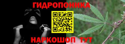 каннабис Кингисепп