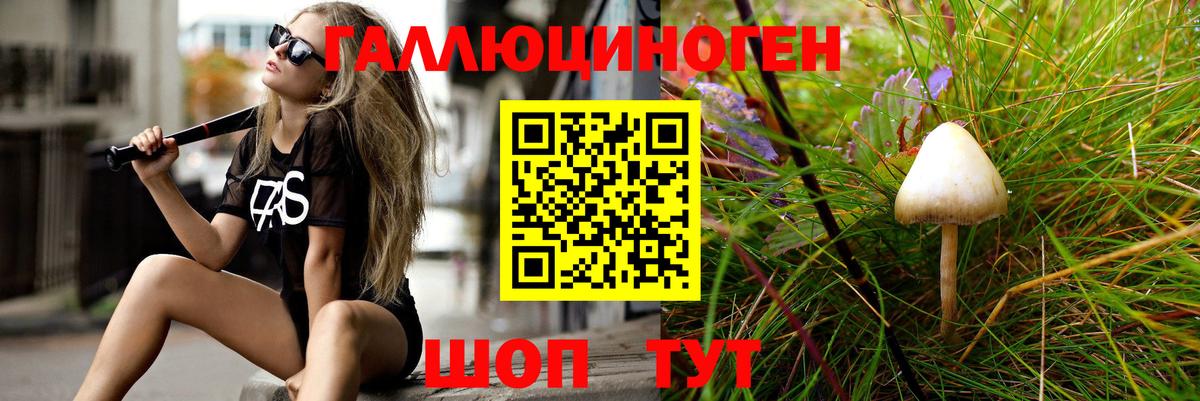 купить наркотик  Псилоцибиновые грибы мухоморы  Вход с VPN  Дубна  Псилоцибиновые грибы мицелий 